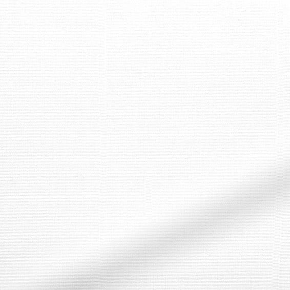 ColorizedPLA Expressions Vista Pure White Blind for FAKRO® Windows 2975