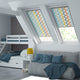 ColorizedZoom  2988