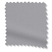 ColorizedSwatch 