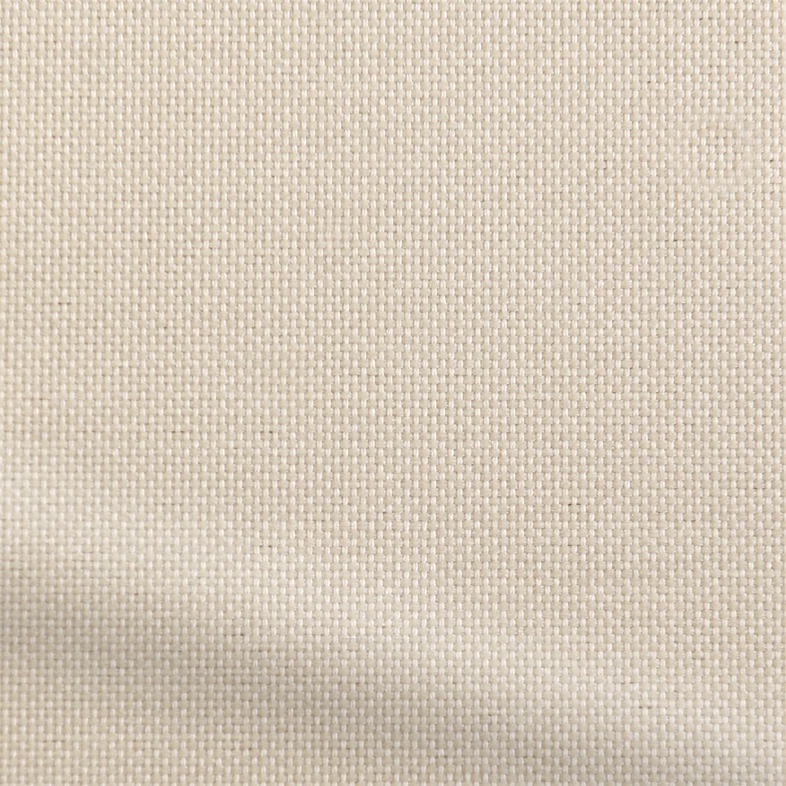 ColorizedZoom  3536