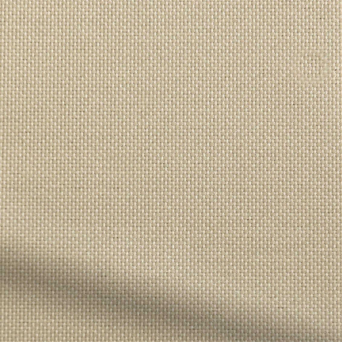 ColorizedZoom  3537
