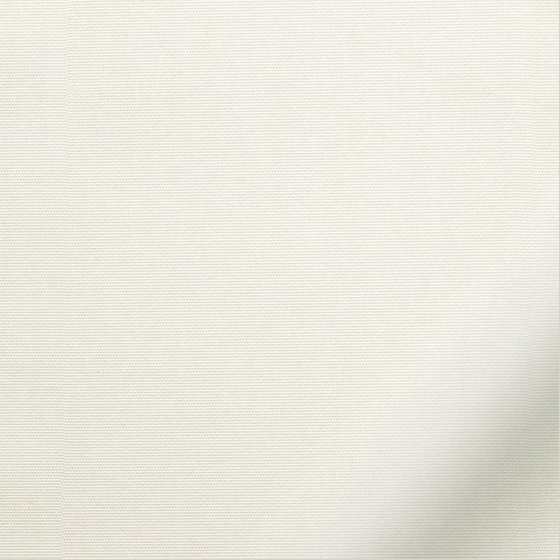 ColorizedZoom 