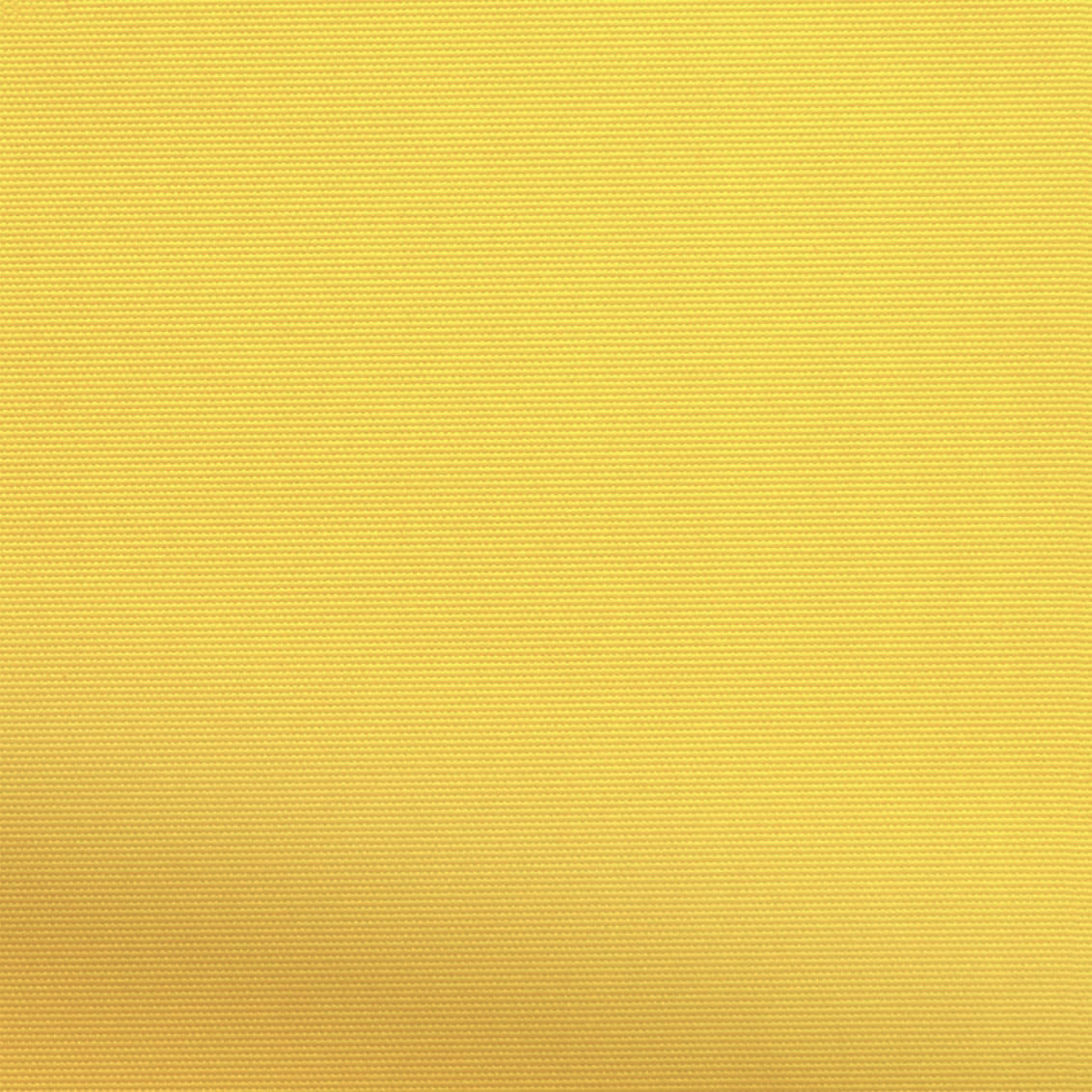 ColorizedZoom  3577