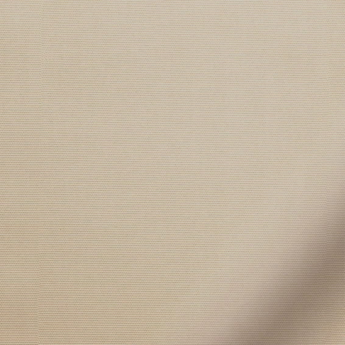 ColorizedZoom  3581