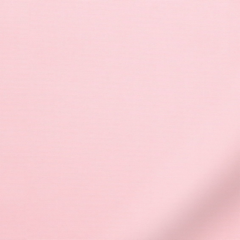 ColorizedZoom  3572