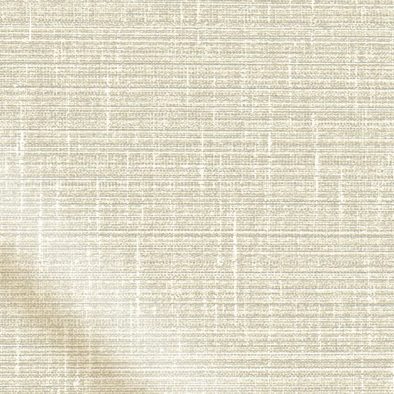 ColorizedPLA Amazon Blackout Vanilla Roller Blind