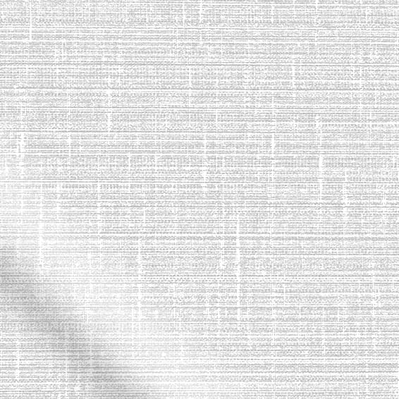 ColorizedPLA Amazon Blackout Mist Roller Blind 3654