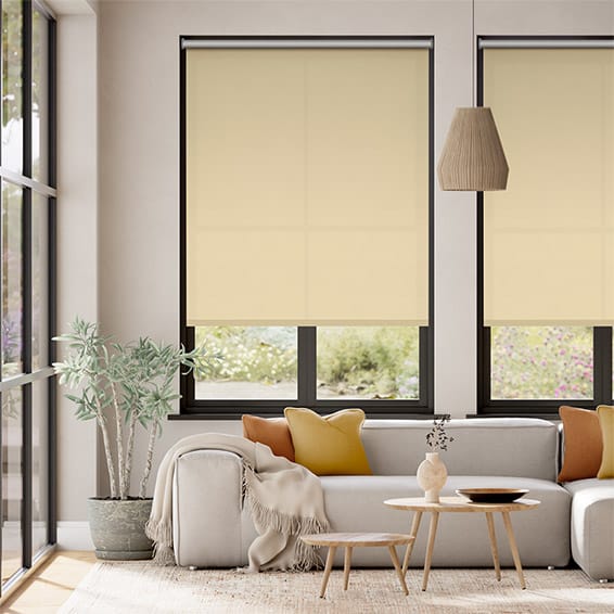 Colorized Thermal Plus Biscuit  Energy Saving Roller Blind 3659