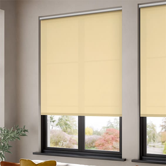 ColorizedZoom Thermal Plus Biscuit  Energy Saving Roller Blind 3659