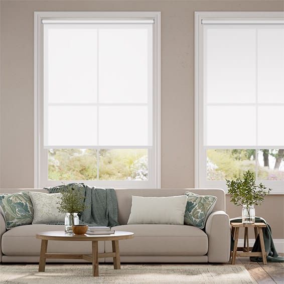 Colorized Thermal Plus White Energy Saving Roller Blind 3666