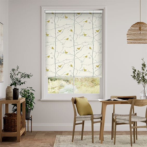 Colorized Springs Dawn Chorus Slate Roller Blind 3713