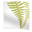 ColorizedSwatch Angel Ferns Olive Roller Blind sample image 3731