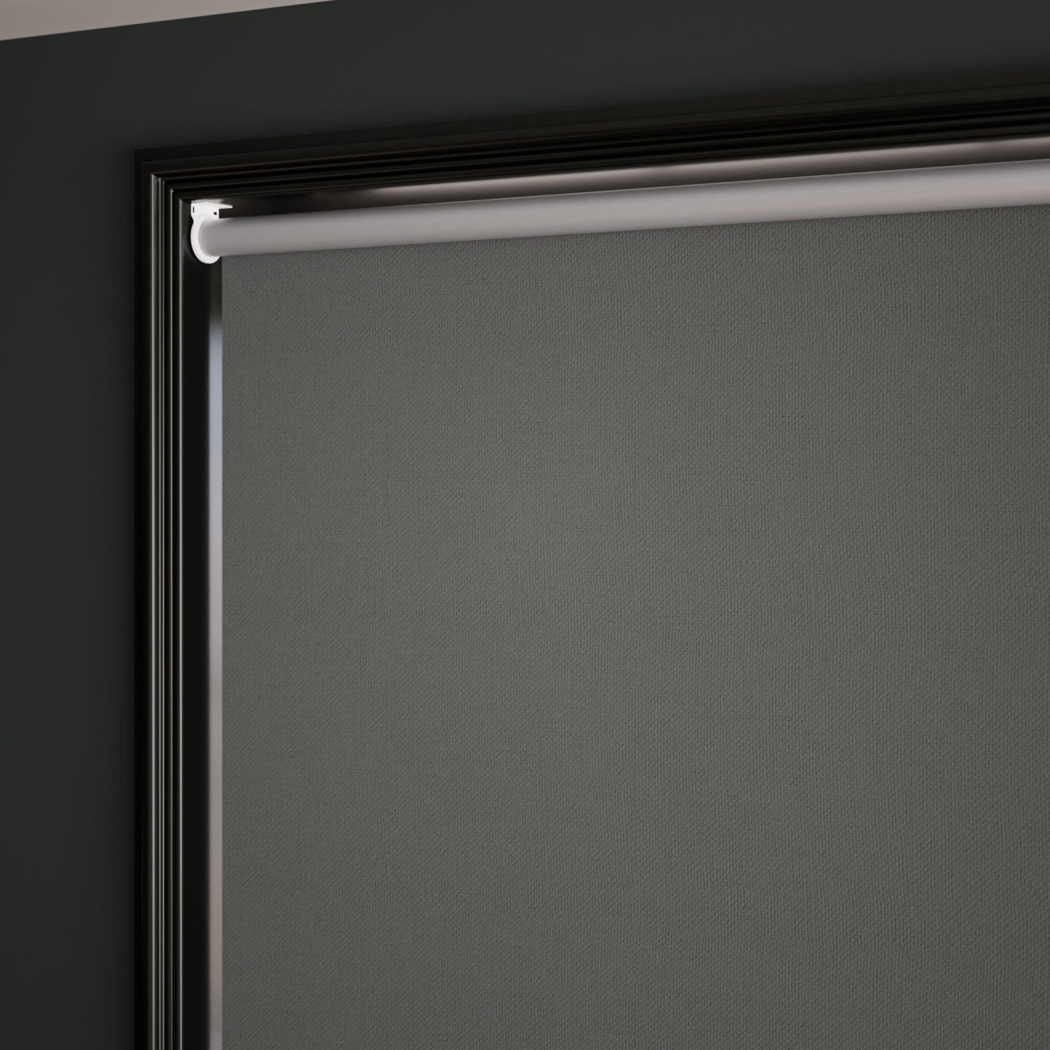 ColorizedZoom  3871