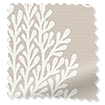 ColorizedSwatch 