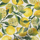 ColorizedPLA Choices Lemons Yellow Roller Blind 3938