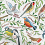 ColorizedPLA Garden Birds Multi Roller Blind 3940