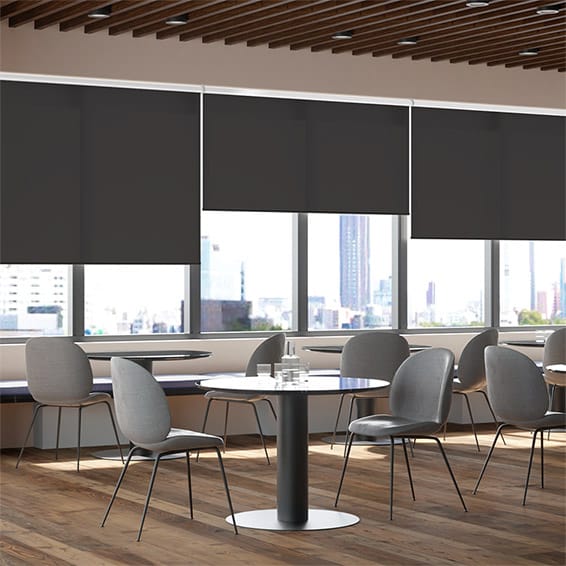 ColorizedZoom Contract Thermal Plus Anthracite  Roller Blind 3965