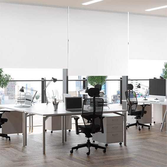 ColorizedZoom Contract Capital Blackout Bright White Roller Blind 3993