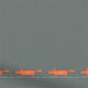 ColorizedPLA Mr Fox Border Charcoal Roller Blind 4003