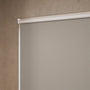 ColorizedZoom  4017