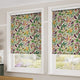 ColorizedZoom Choices Vegetable Garden Multi Roller Blind 4030