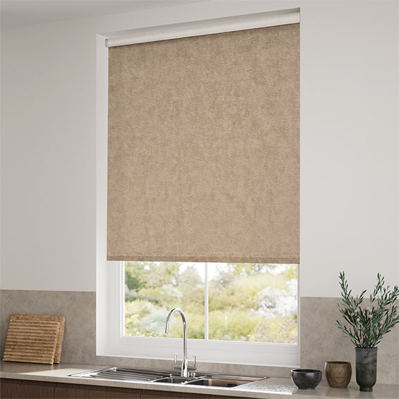 ColorizedZoom Choices Alva Latte Roller Blind 4117
