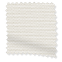 ColorizedSwatch  4125