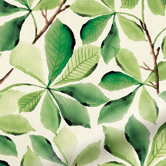 ColorizedPLA Choices Horse Chestnut Green Roller Blind