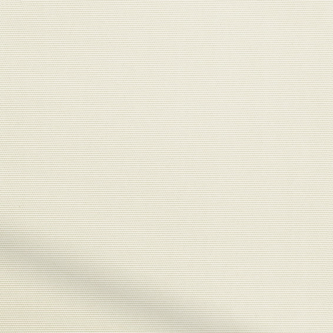 ColorizedZoom  4187