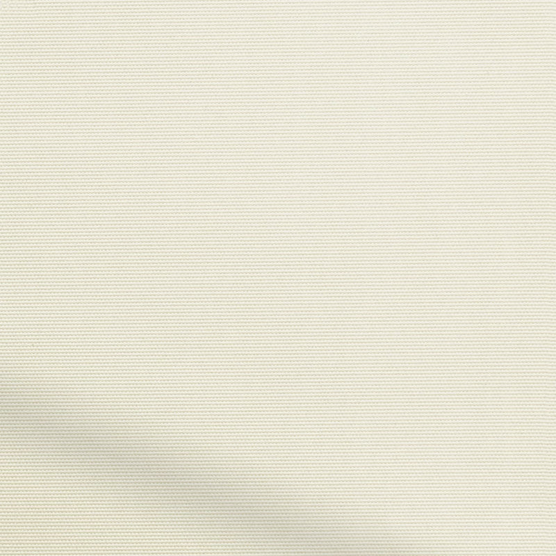 ColorizedZoom  4187