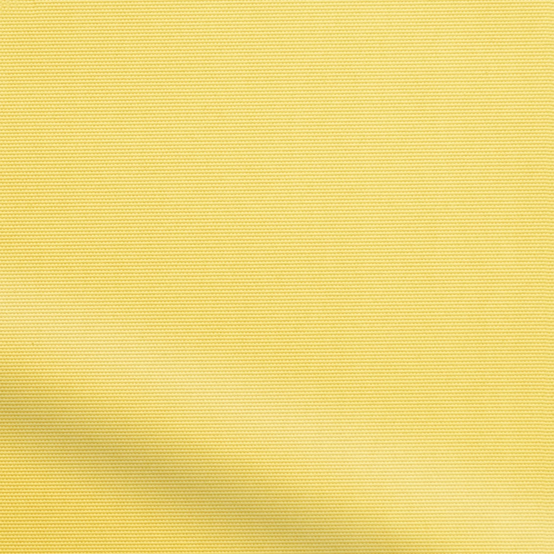 ColorizedZoom  4195