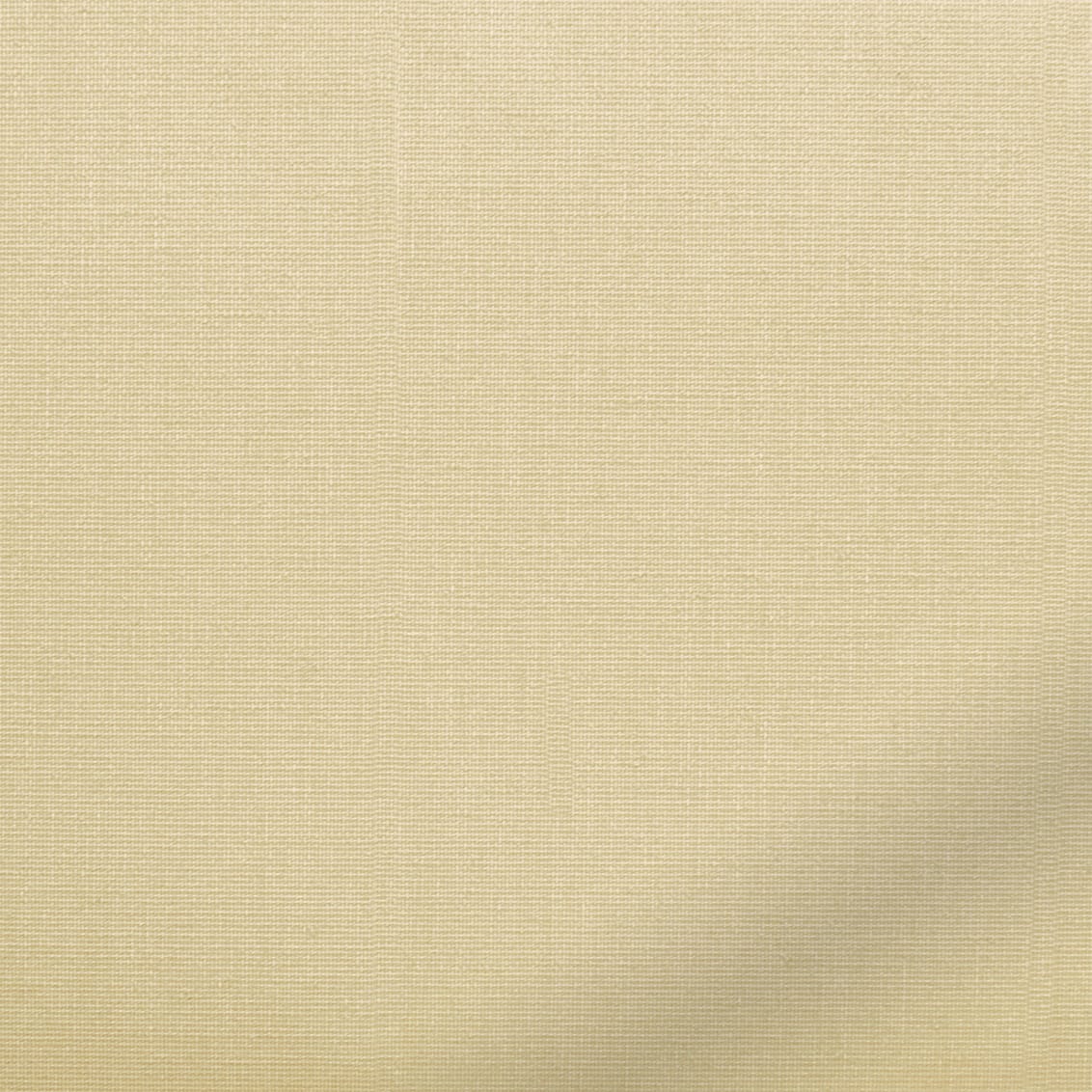 ColorizedZoom  4199
