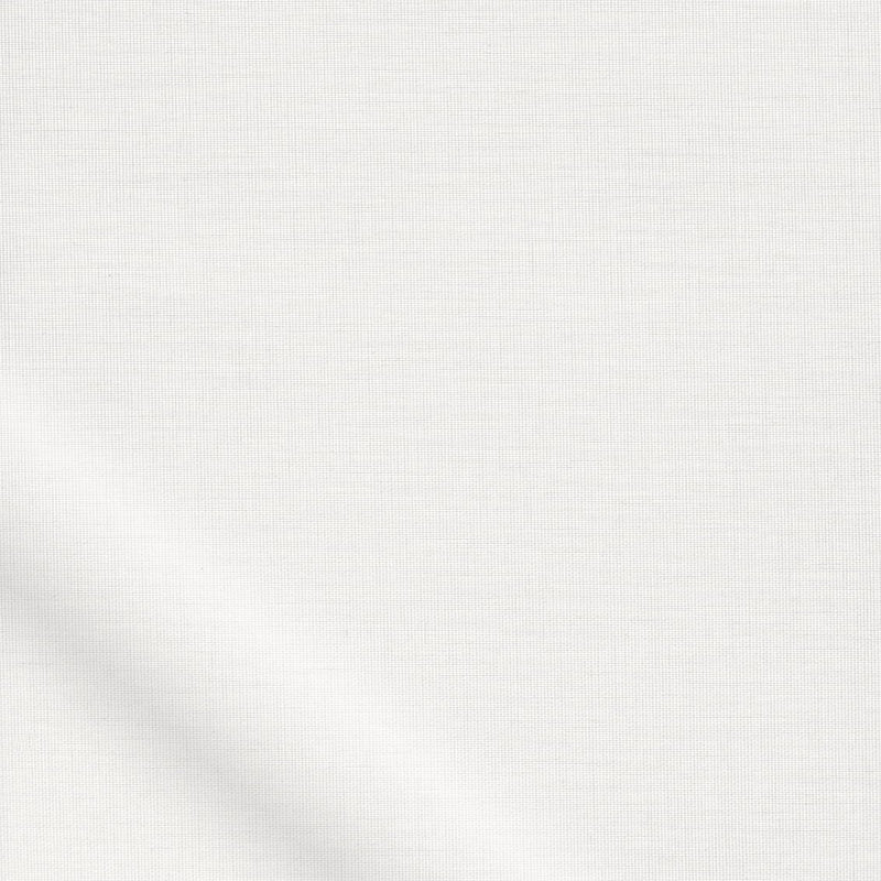 ColorizedZoom  4215