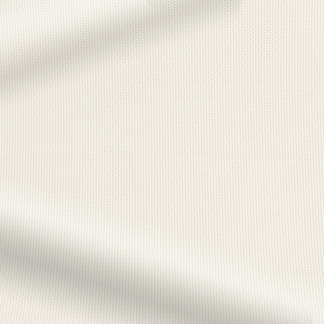 ColorizedZoom  4278