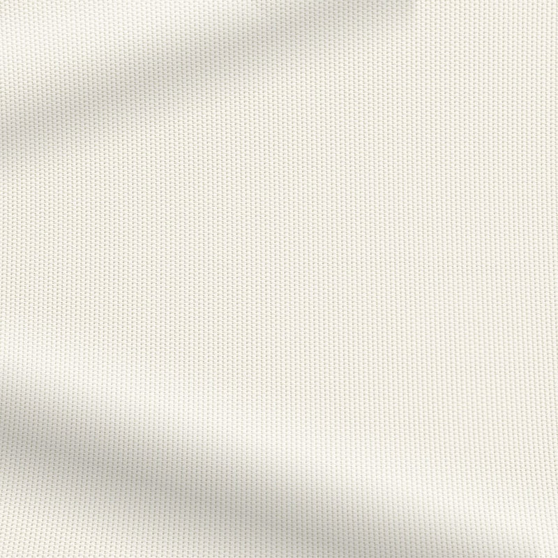 ColorizedZoom  4278