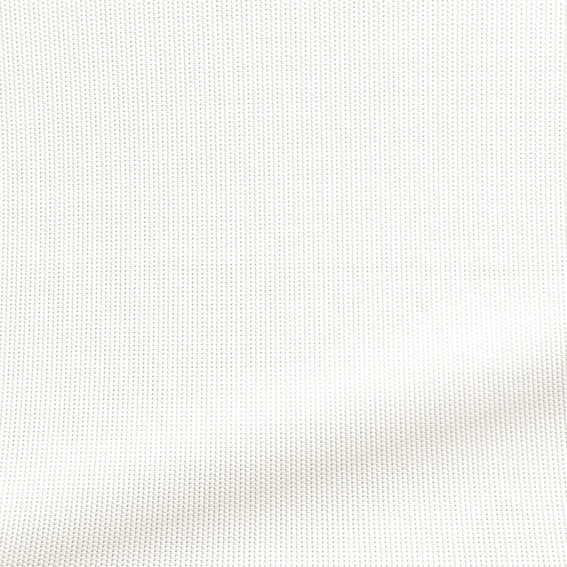 ColorizedZoom  4274