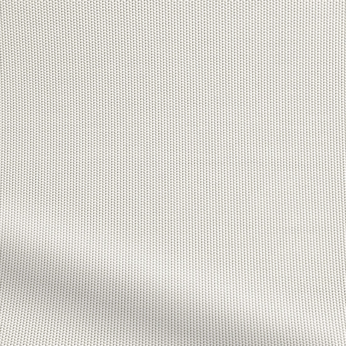 ColorizedZoom  4281