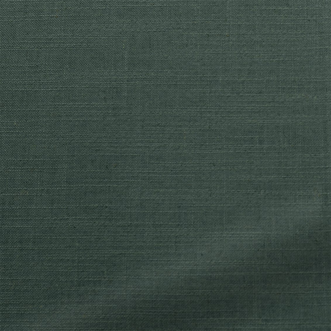 ColorizedZoom  4293