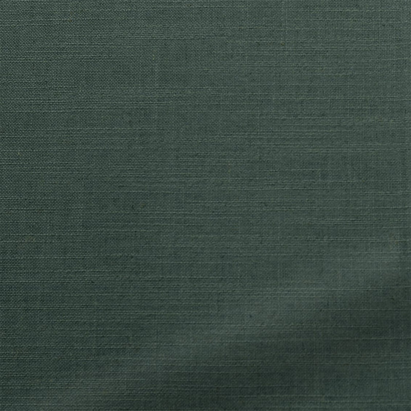 ColorizedZoom  4293