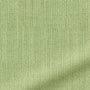 ColorizedZoom  4291