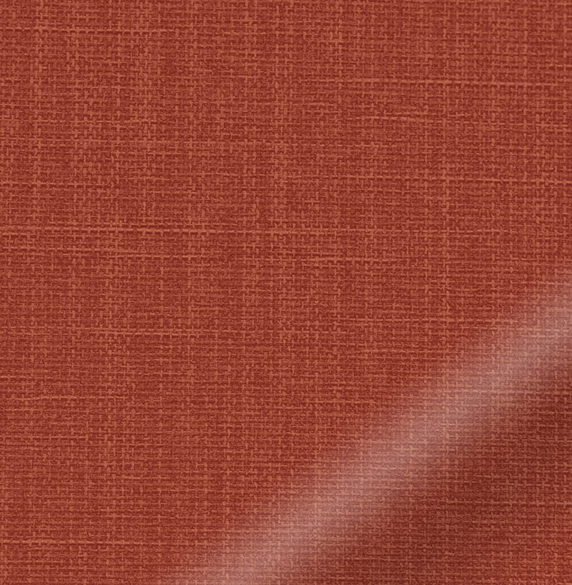 ColorizedZoom  4312
