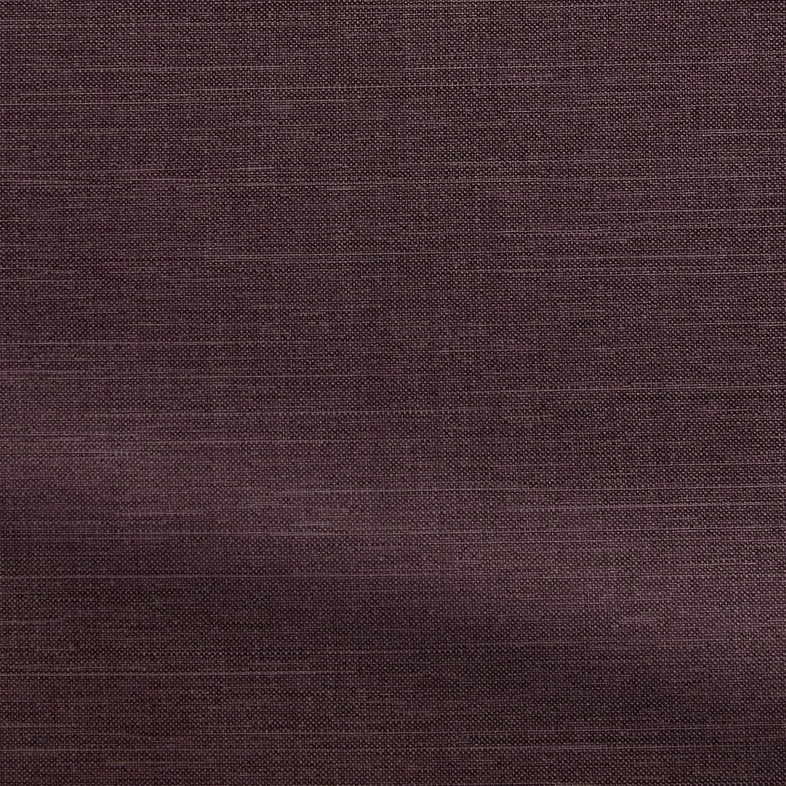 ColorizedZoom  4319