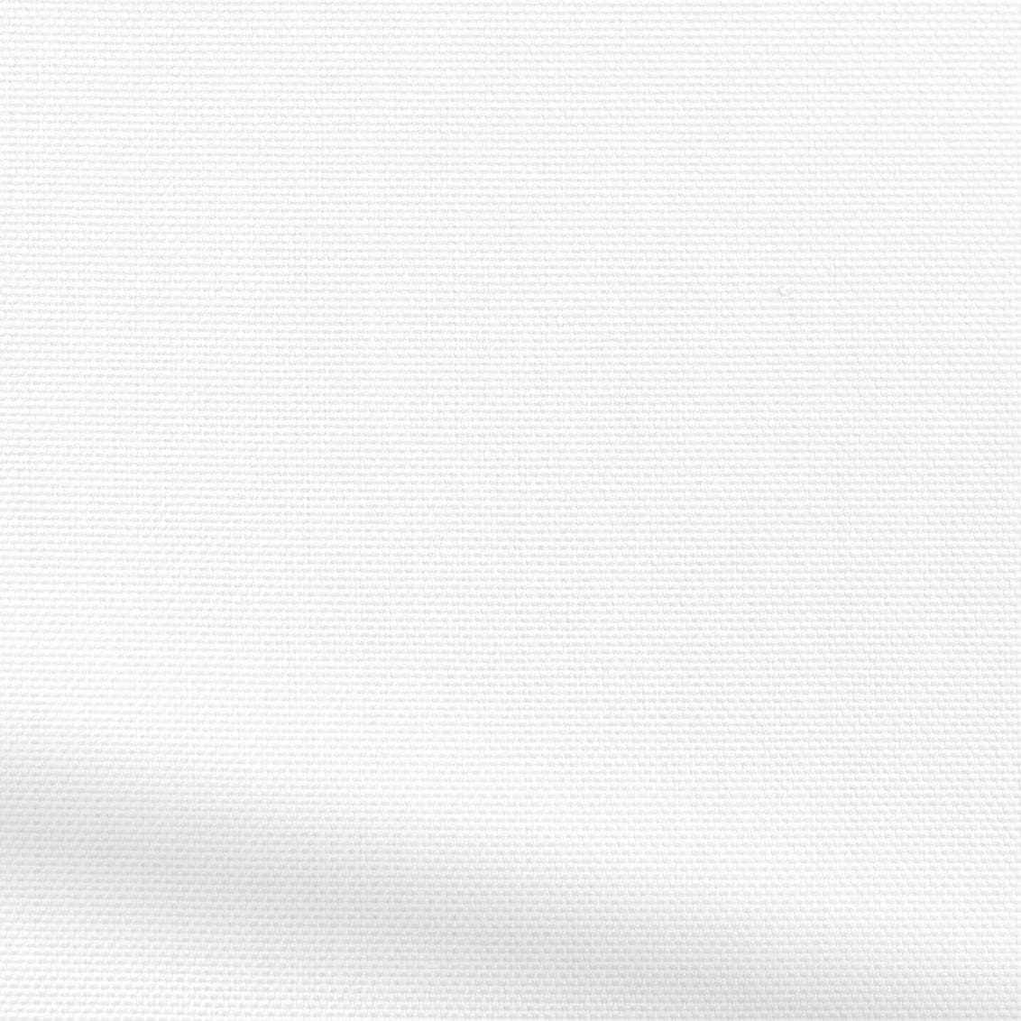 ColorizedZoom  4332