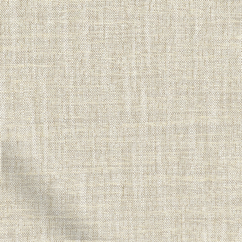 ColorizedZoom  4337