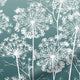 ColorizedZoom  4364