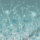ColorizedZoom  4390