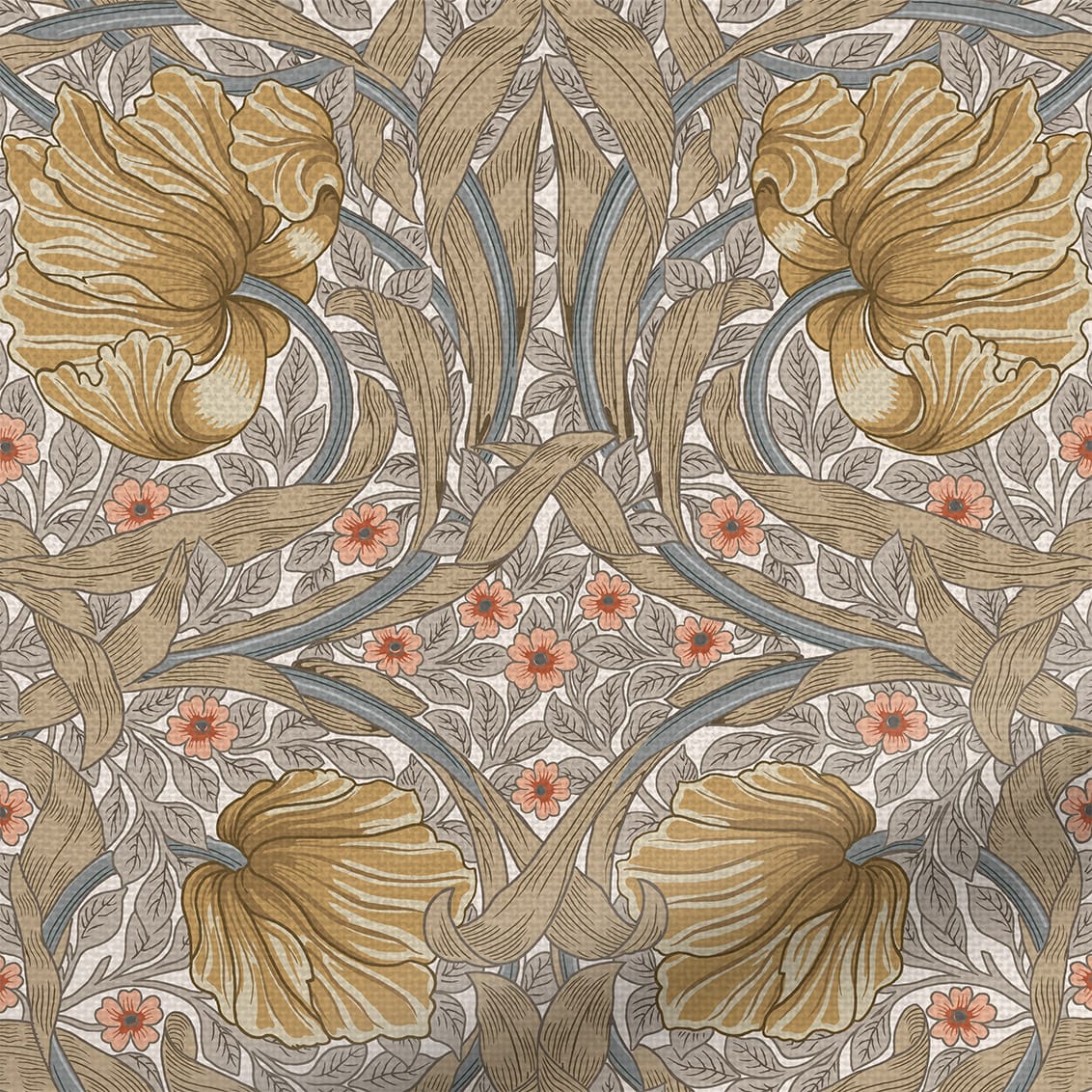 ColorizedZoom  4398