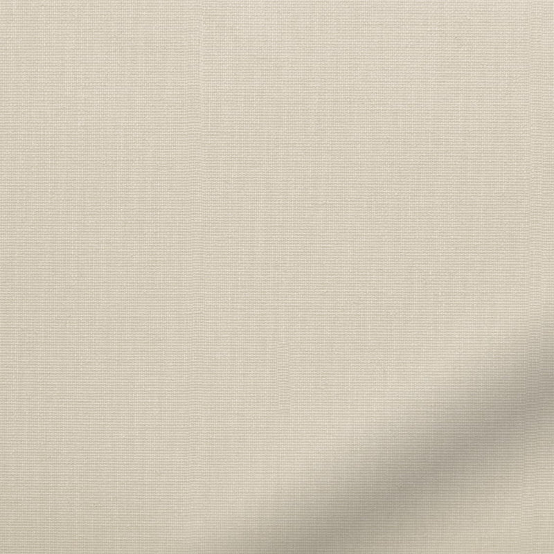 ColorizedZoom  4471