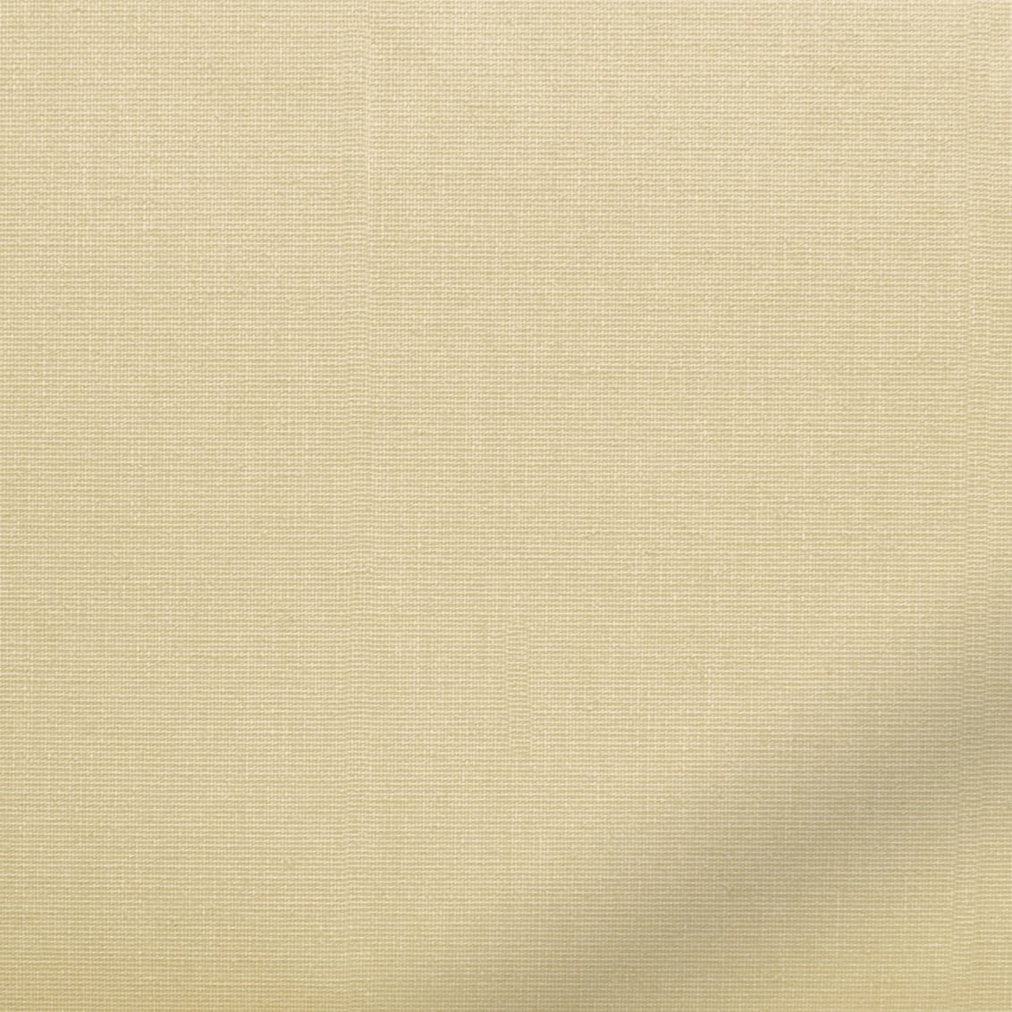 ColorizedZoom  4470