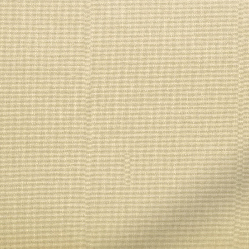 ColorizedZoom  4470